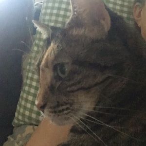 Meet your Posher, Eeileen